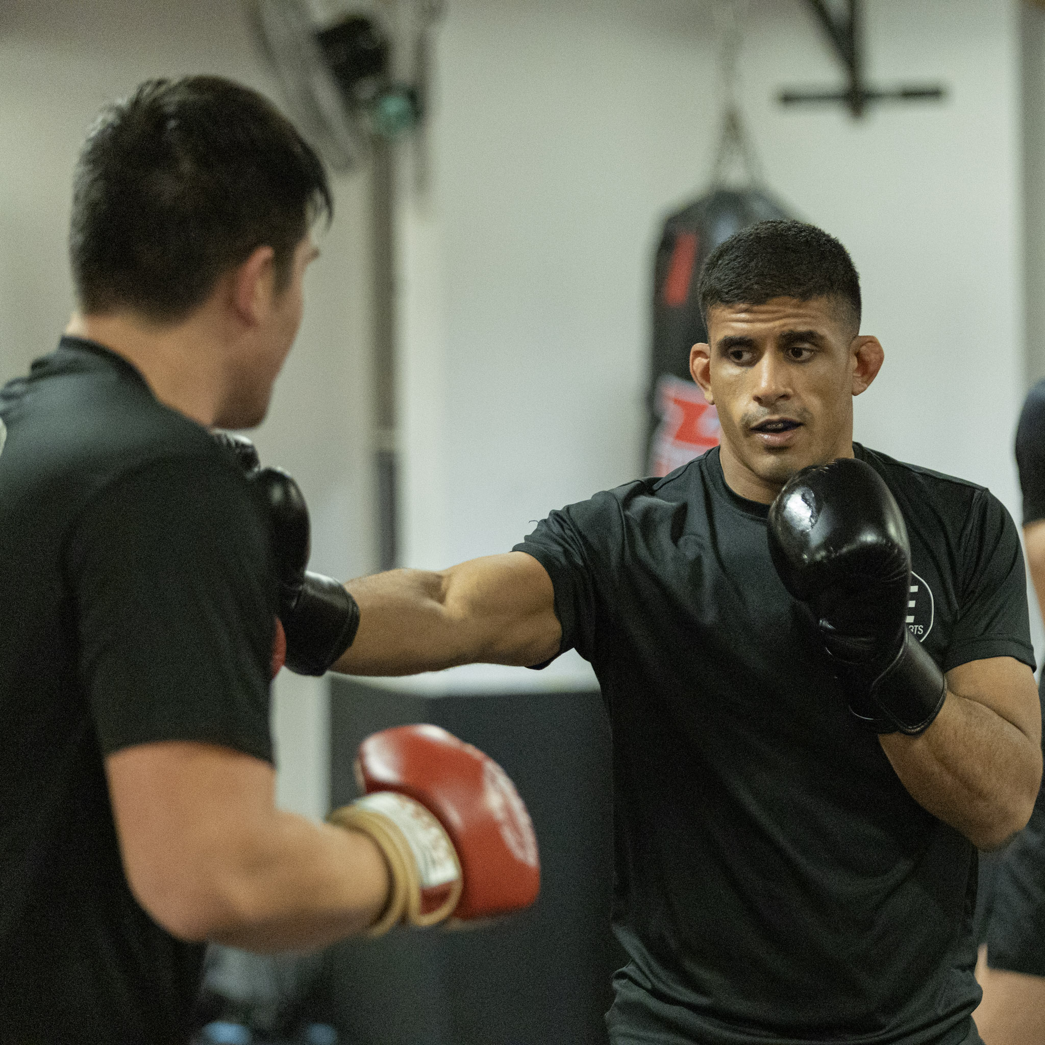 Striking and kickboxing training